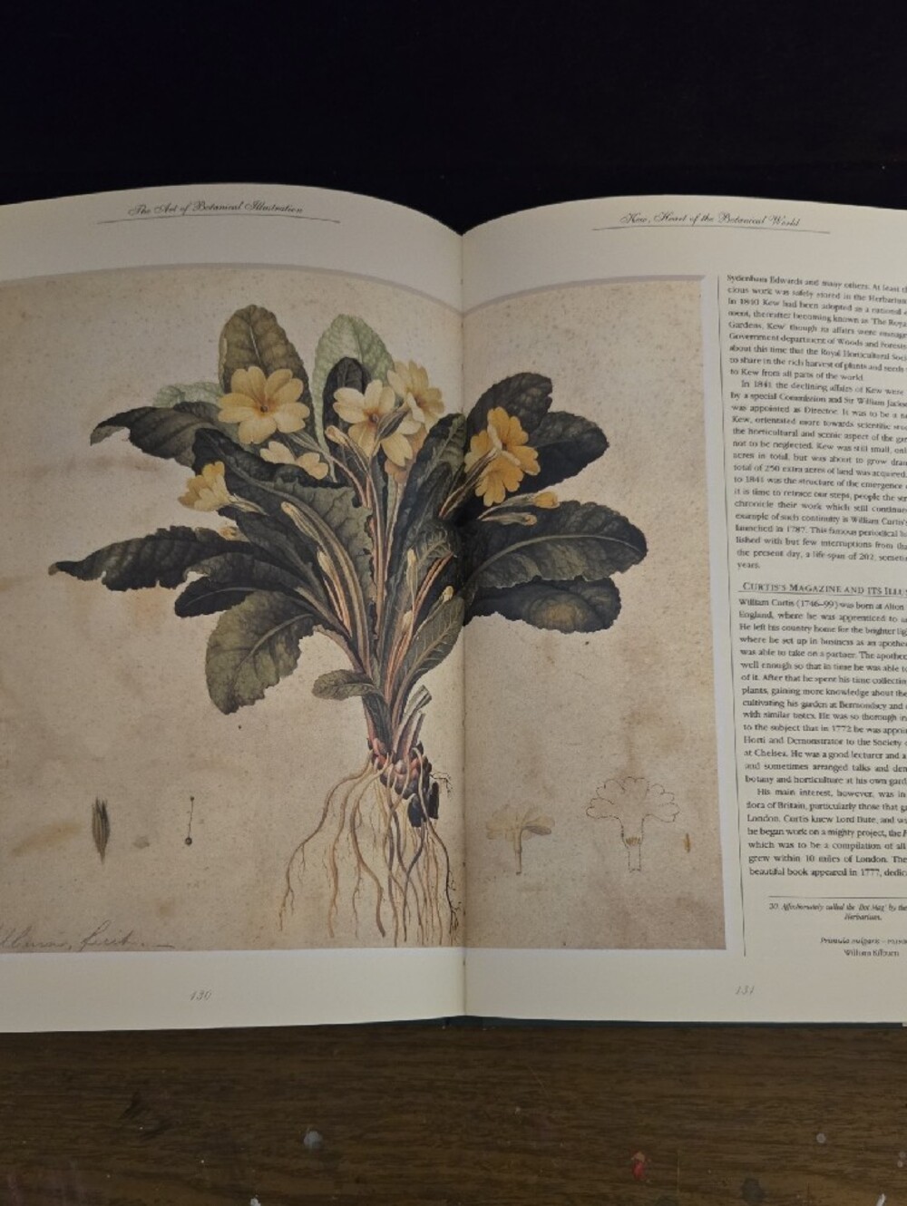 The Art of Botanical Illustration Coffee Table Book - Cream Cover - Picture 6 of 6